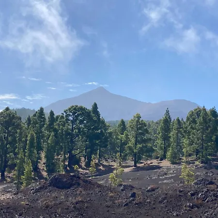 Lägenhet Orlando - Ocean View In *