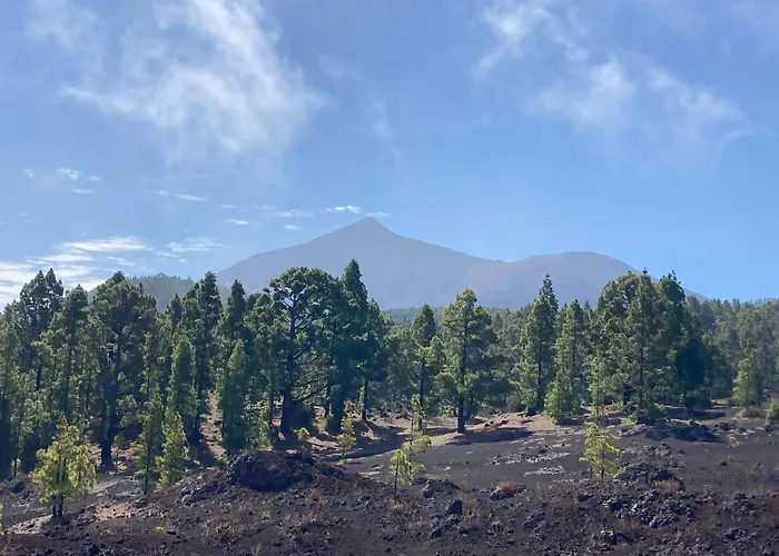 Апартаменты Orlando - Ocean View In *